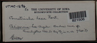 Image Associated With the Occurence